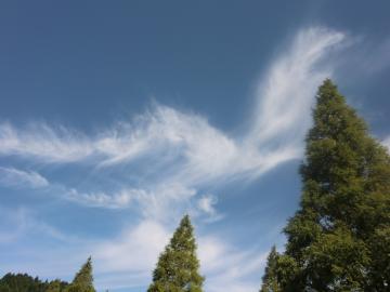 空