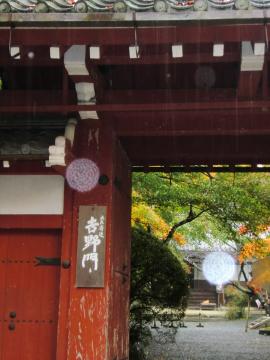 雨の京都3