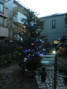 クリスマスツリー1