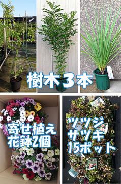 シンボルツリーセット＋生垣＋花セット