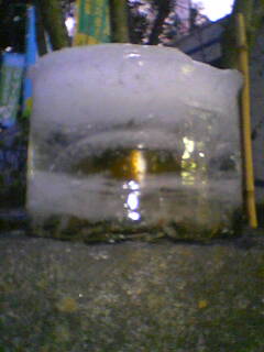 石水鉢２
