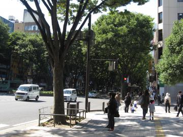 仙台の定禅寺通り