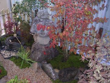 紅葉するシャラとシダレモミジ、自然石の灯籠がのある坪庭。