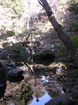 殿ヶ谷戸庭園池