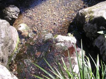 縄文からの湧水