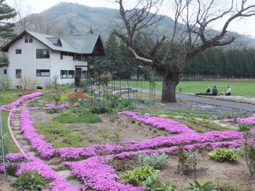 ゲストハウスと牧草地