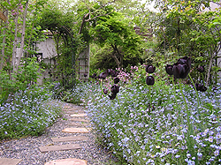 ワスレナグサの庭２