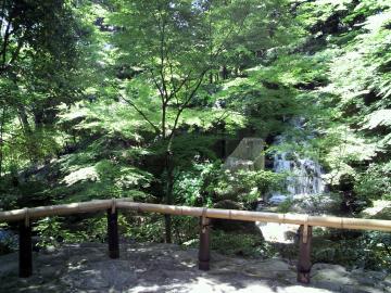 徳川園　滝