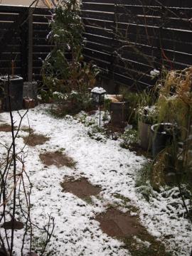 雪ふる庭