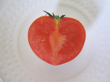 トマトです