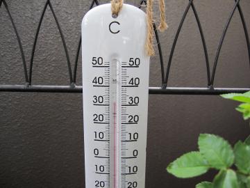 朝から３０℃以上・・・（汗）