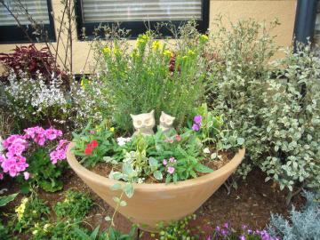 テラコッタの寄せ植えに猫を飾ります。