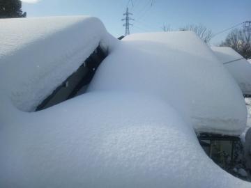 屋根雪降ろし