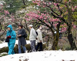 兼六園　雪化粧