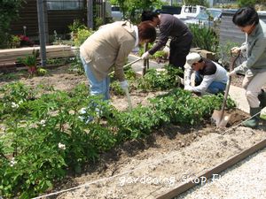 じゃがいもの追肥
