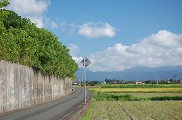 原発問題 環境　エネルギー　健康　ダイエット