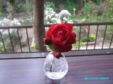 2011/11/27/redrose in vase