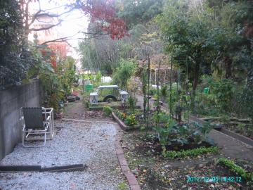 2011/12/5/backyard