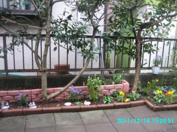 2011/12/14/garden at 物置側