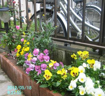 entranceflowerbed1