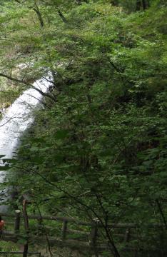 竜王峡虹見の滝