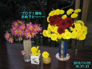 菊greeting