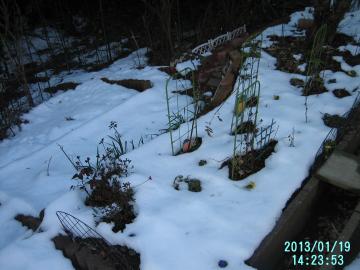 雪が積もった段花壇