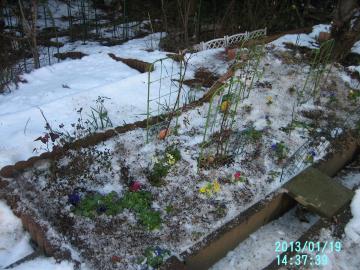 雪をどけた段花壇