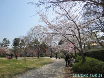 平安神宮公園
