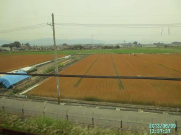 新幹線窓の景色