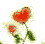 heartflower1