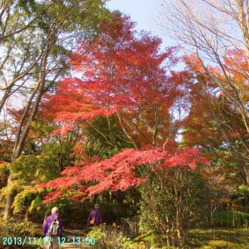 柏の葉公園日本庭園２