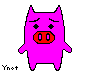 sorry pink pig