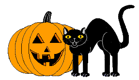 pumpkin and black cat