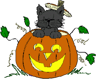 Halloween pumpkin and black cat