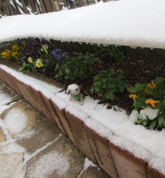 初雪玄関スリム花壇