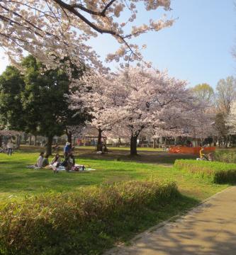 高田近隣センターの裏の公園