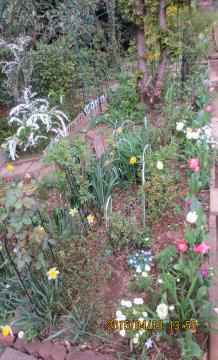 2015/4/3/  backyard flowerbeds