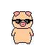 pig with sunglass