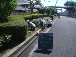 陶生病院