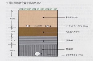 芝生断面