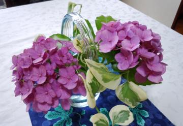 テーブルの紫陽花