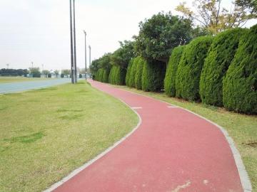 公園のジョギングコース