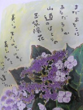 星野富弘：玉紫陽花の詩