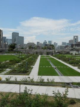 今日の薔薇園・・・快晴！