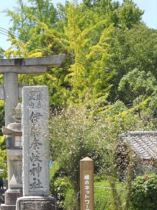 近所の神社：伊射奈岐神社