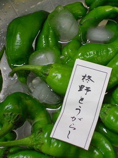 京野菜：色濃い万願寺とうがらし