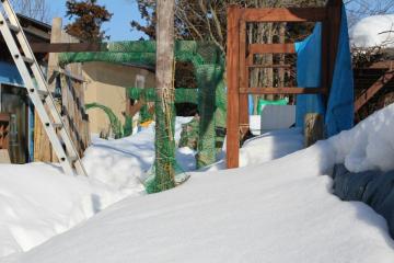 2015冬の庭
