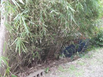 竹垣造り｜北九州｜庭師の一日｜山本緑翠園｜ご馳走竹の伐採