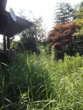 八幡東区で草刈り｜前　山本緑翠園